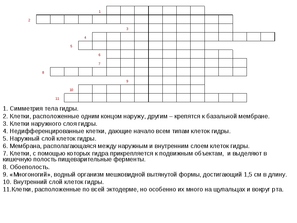 Kraken зеркало официальный